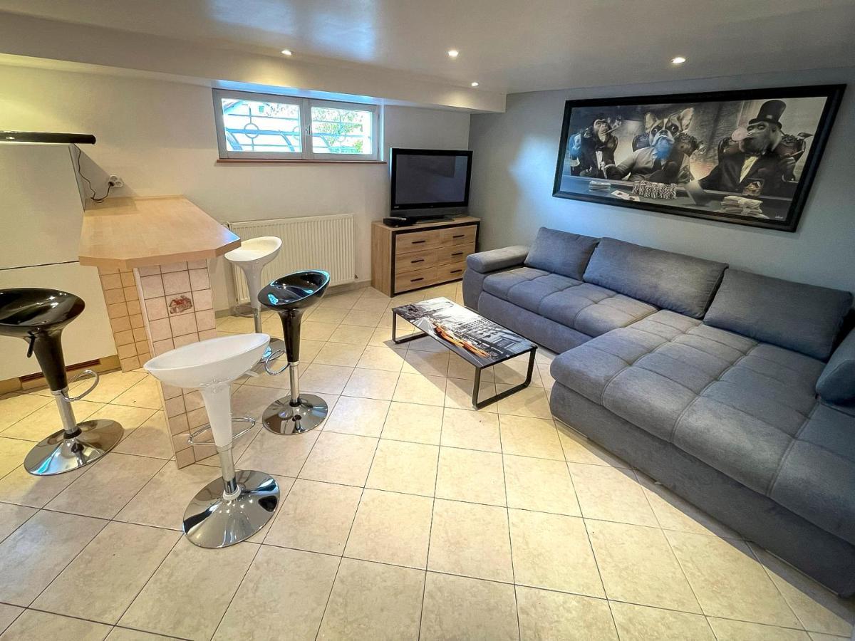 Villa 250M2 Avec Piscine Chauffee & Spa & Kota-Grill & Sauna Saint-Die-des-Vosges Eksteriør billede